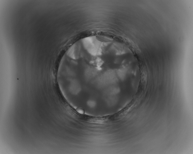 X0000111820661200908201132