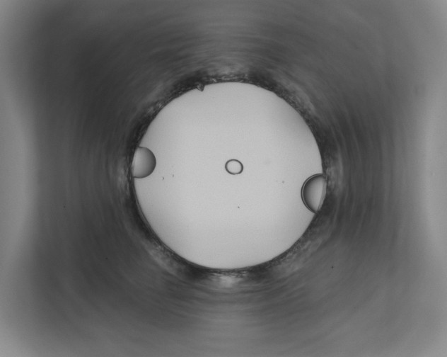 X0000111820662200908201132