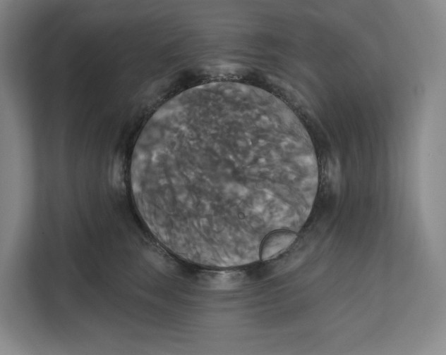 X0000111820663200908201132
