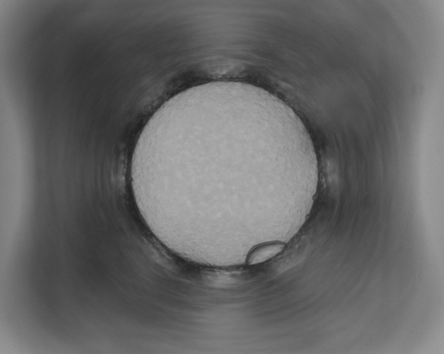 X0000111820664200908201132
