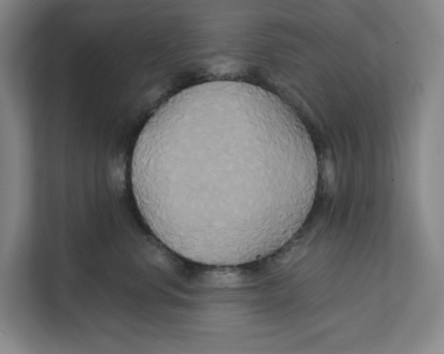X0000111820668200908201132
