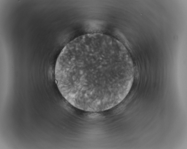 X0000111820669200908201132