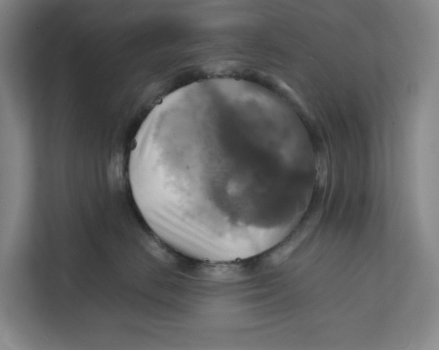 X0000111820670200908201132