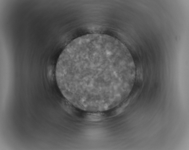 X0000111820671200908201132