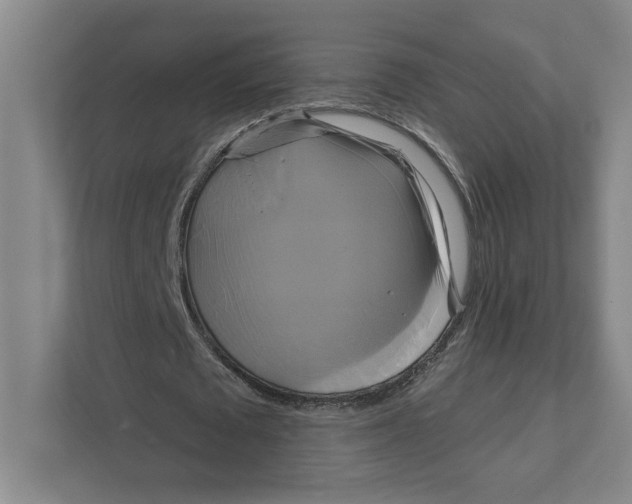 X0000111820673200908201131