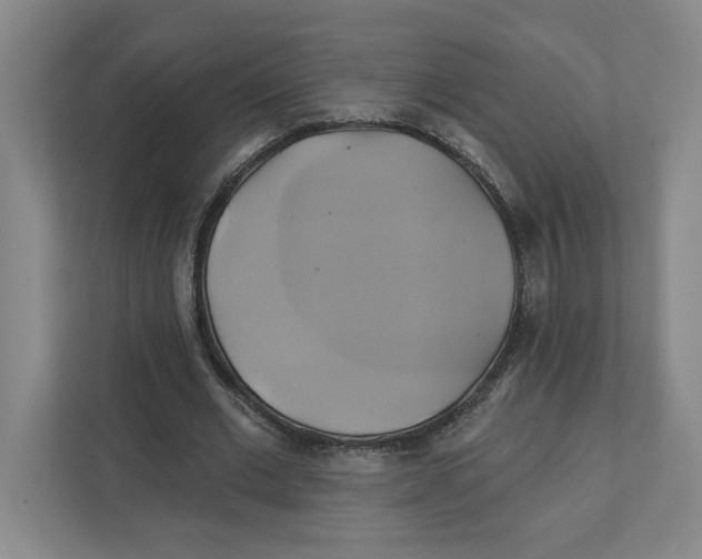 X0000111820677200908201131