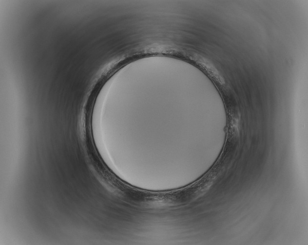 X0000111820678200908201131