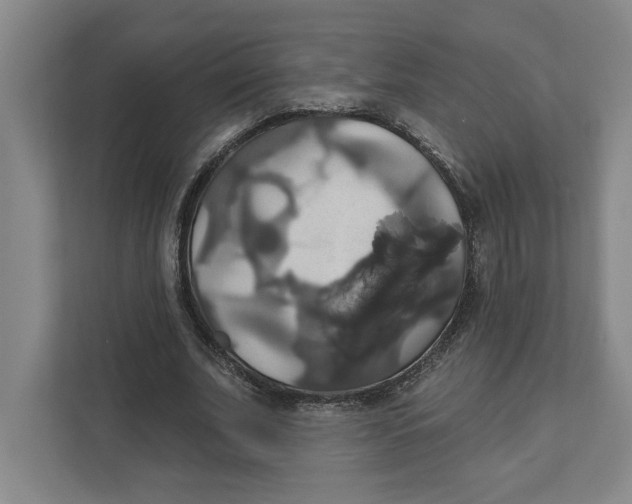 X0000111820679200908201131