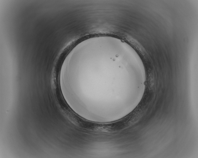 X0000111820680200908201131