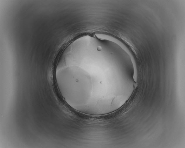 X0000111820681200908201131