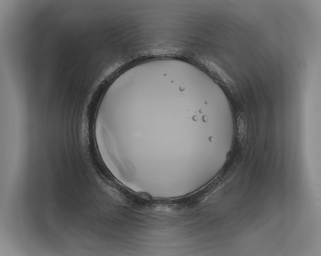 X0000111820684200908201131