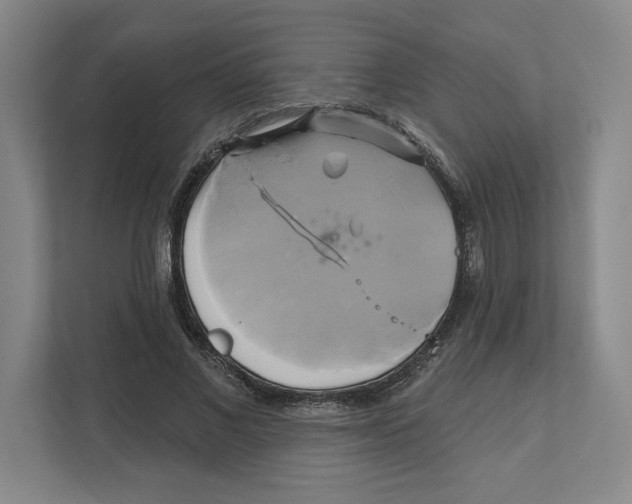 X0000111820685200908201131