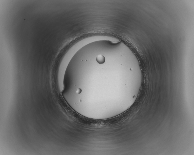 X0000111820688200908201131