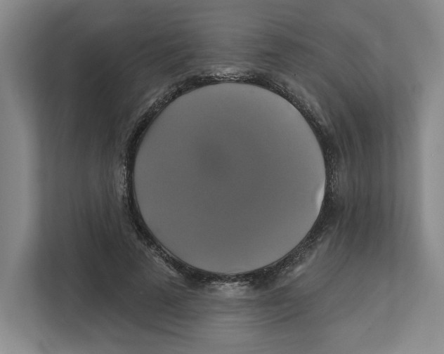 X0000111820689200908201131
