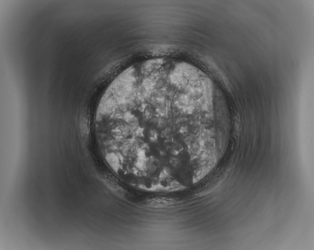X0000111820691200908201131
