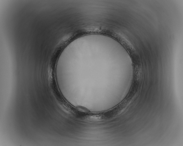 X0000111820692200908201131