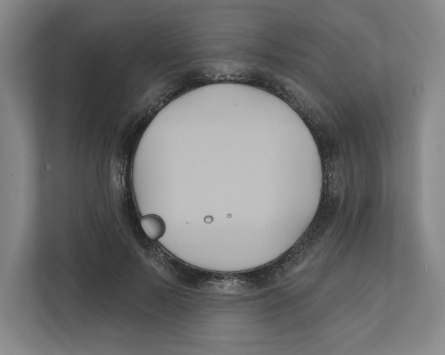 X0000111820695200908201131