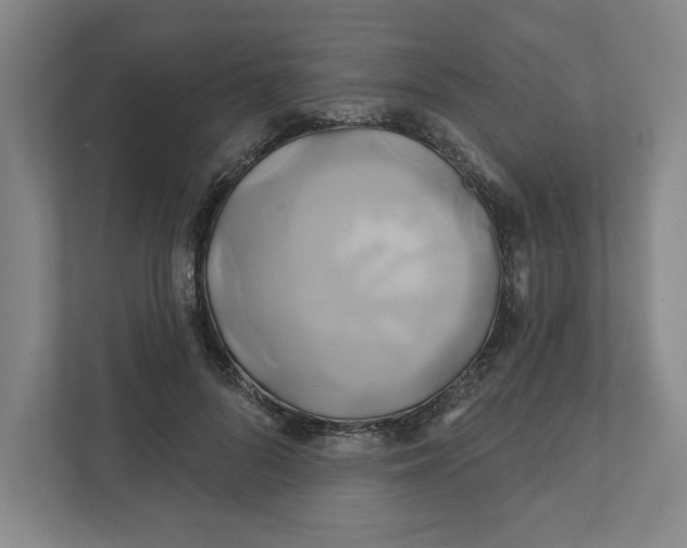 X0000111820696200908201131