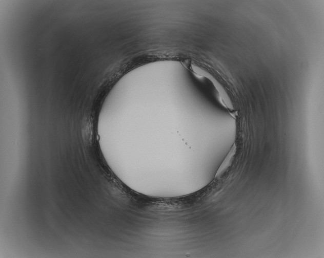 X0000111820697200908201131
