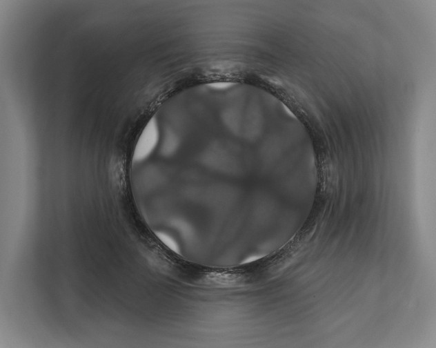 X0000111820699200908201131