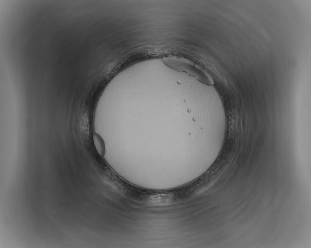 X0000111820700200908201131