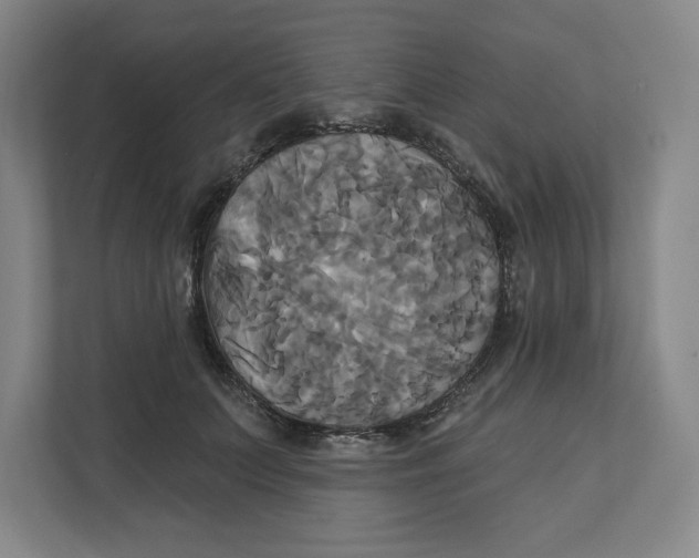 X0000111820703200908201131