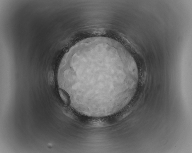 X0000111820704200908201131