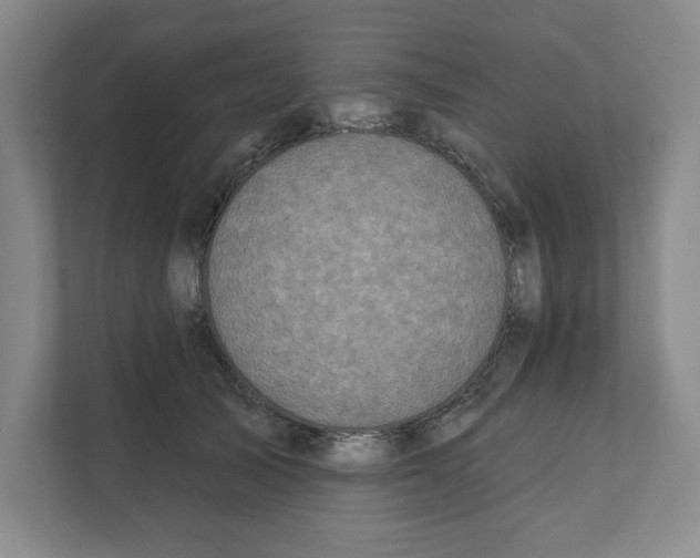X0000111820705200908201131