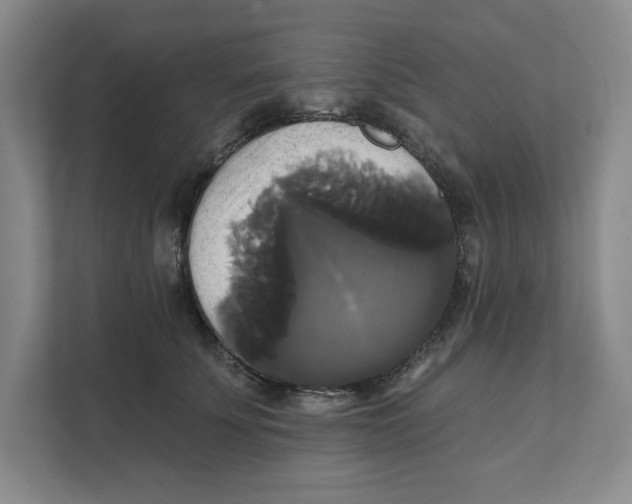 X0000111820707200908201131