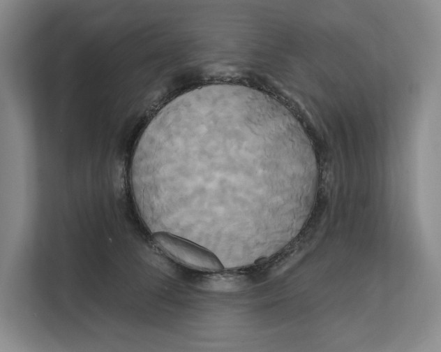 X0000111820708200908201131