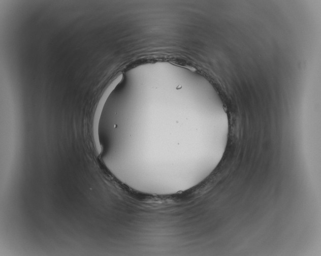 X0000111820712200908201131