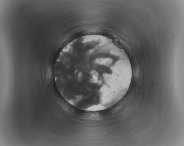 X0000111820715200908201131