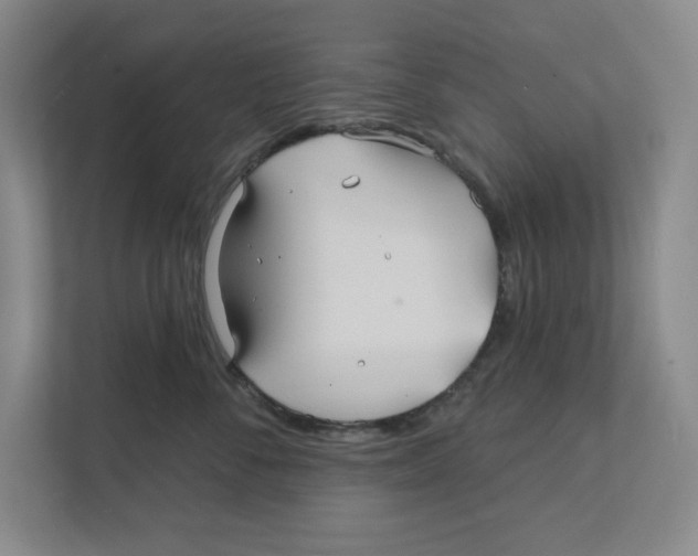 X0000111820716200908201131