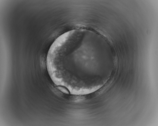 X0000111820719200908201131