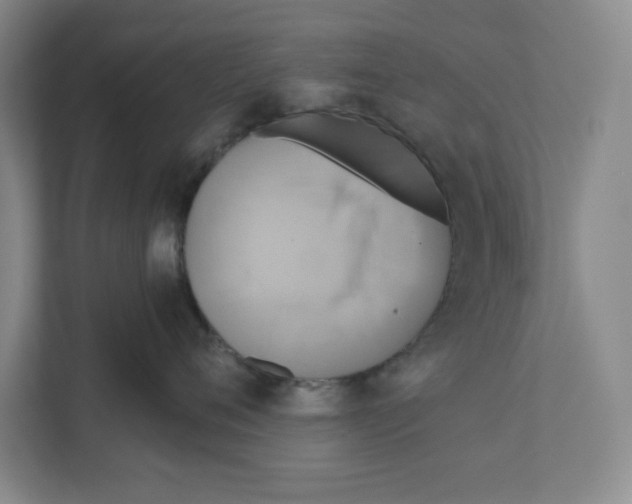 X0000111820720200908201131