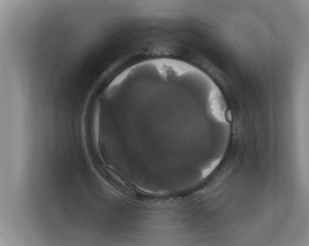 X0000111820722200908201130