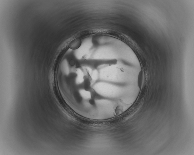 X0000111820725200908201130