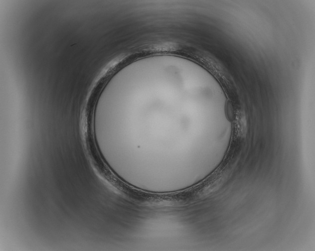 X0000111820726200908201130