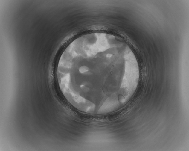 X0000111820727200908201130