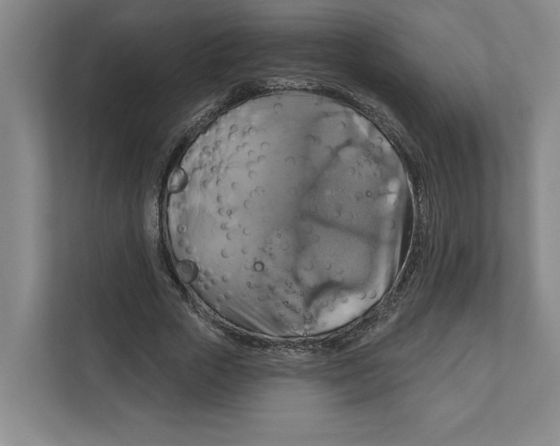 X0000111820729200908201130