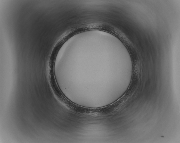 X0000111820730200908201130