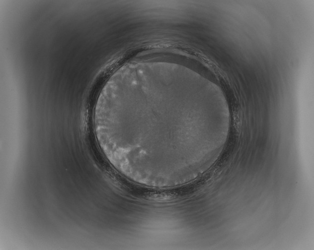 X0000111820735200908201130