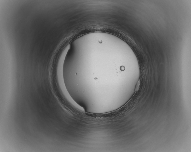 X0000111820736200908201130