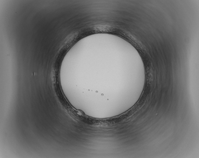 X0000111820738200908201130