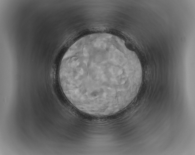 X0000111820739200908201130