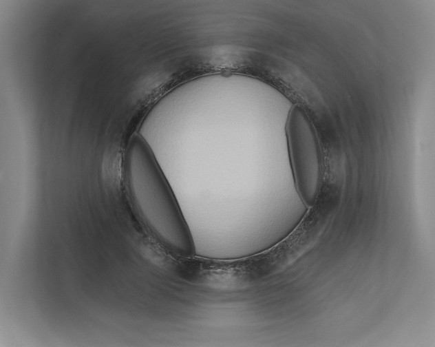 X0000111820740200908201130