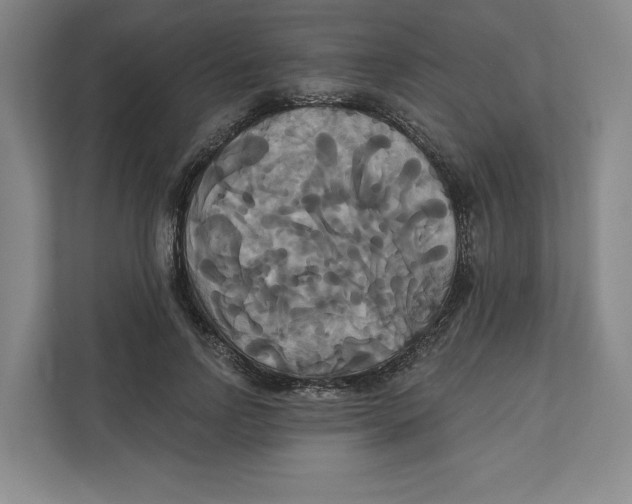 X0000111820742200908201130