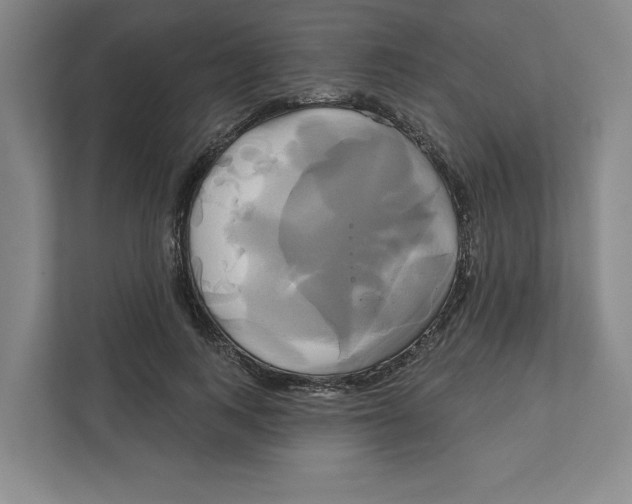 X0000111820743200908201130