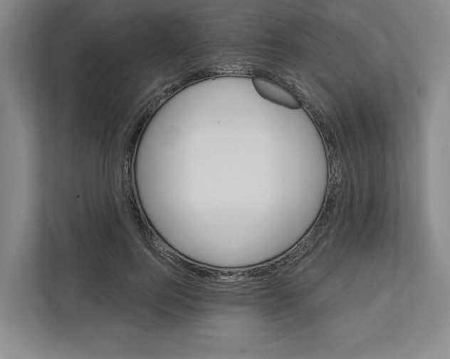 X0000111820744200908201130