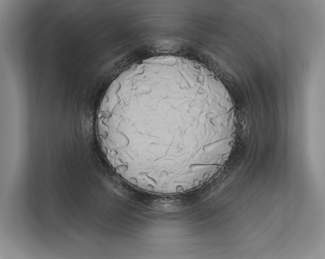 X0000111820745200908201130